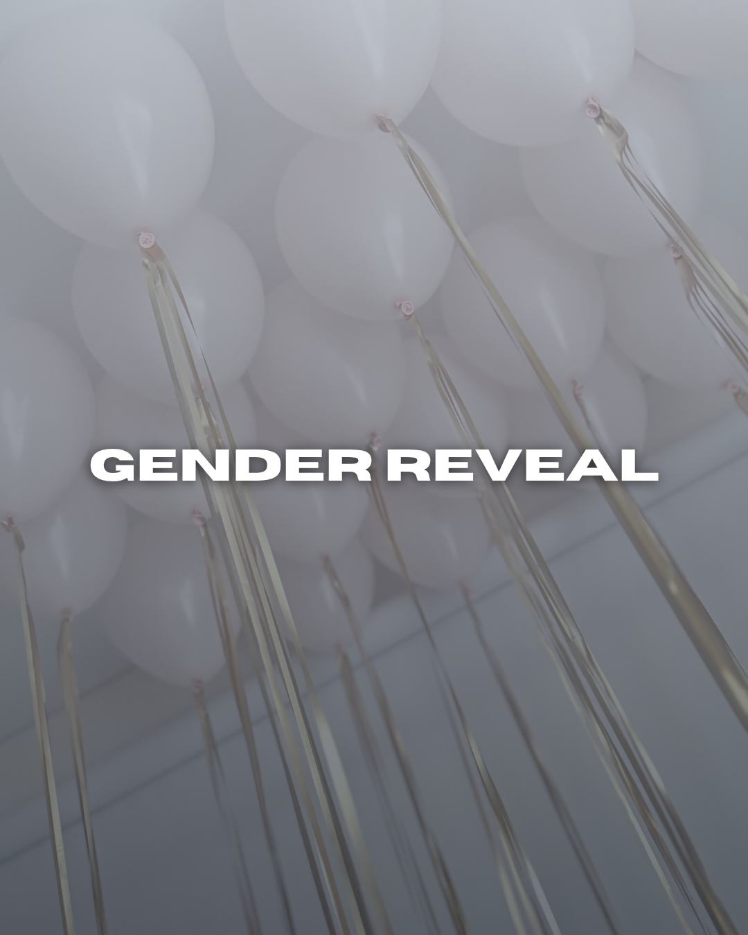 Gender Reveal