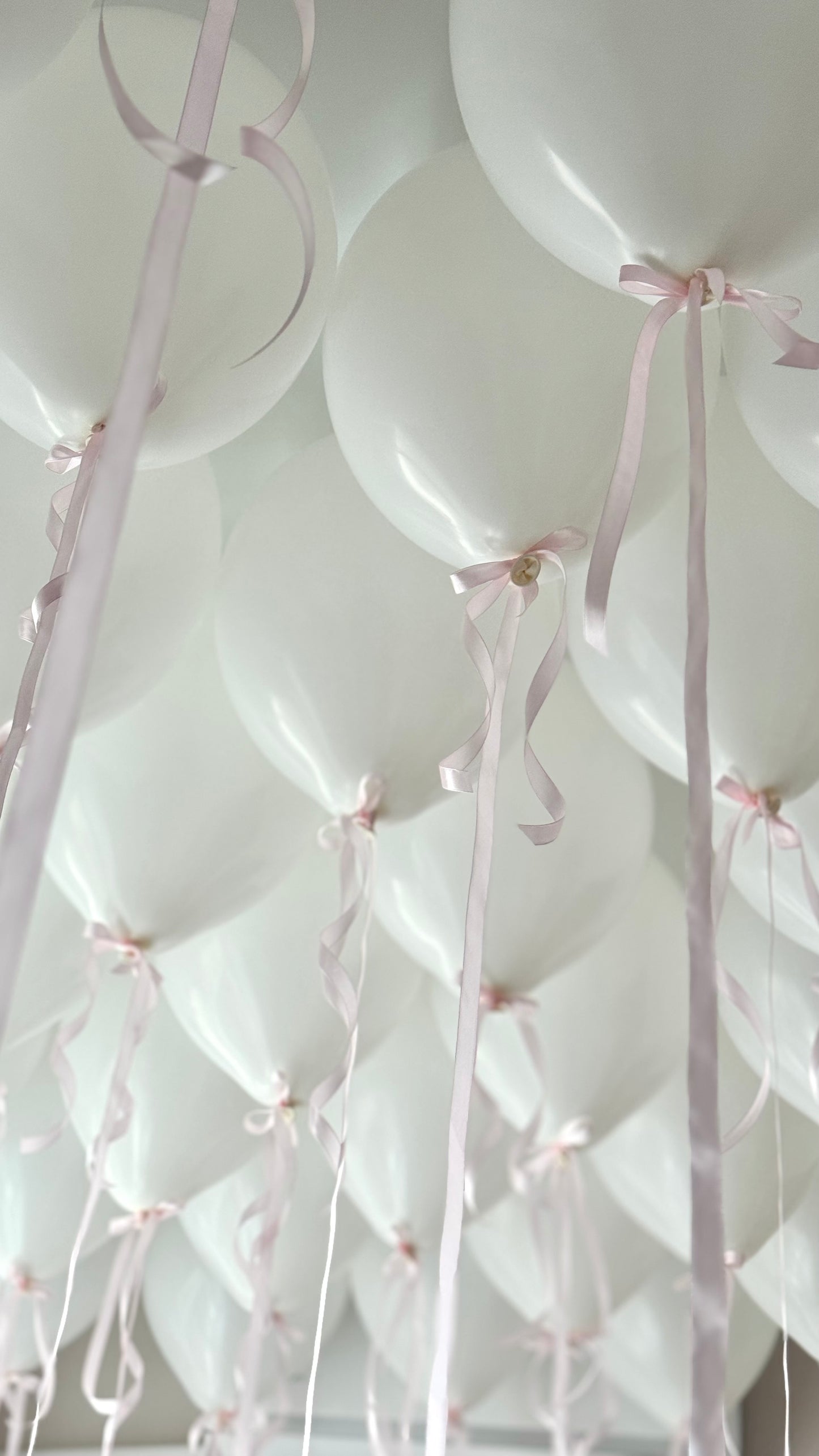 White helium ceiling balloons with pink ribbon bows in New York City
