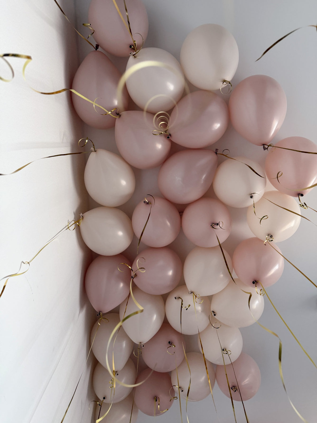 Cream and dusty pink helium balloons floating against a white ceiling with long gold ribbons and curled ribbon ends.