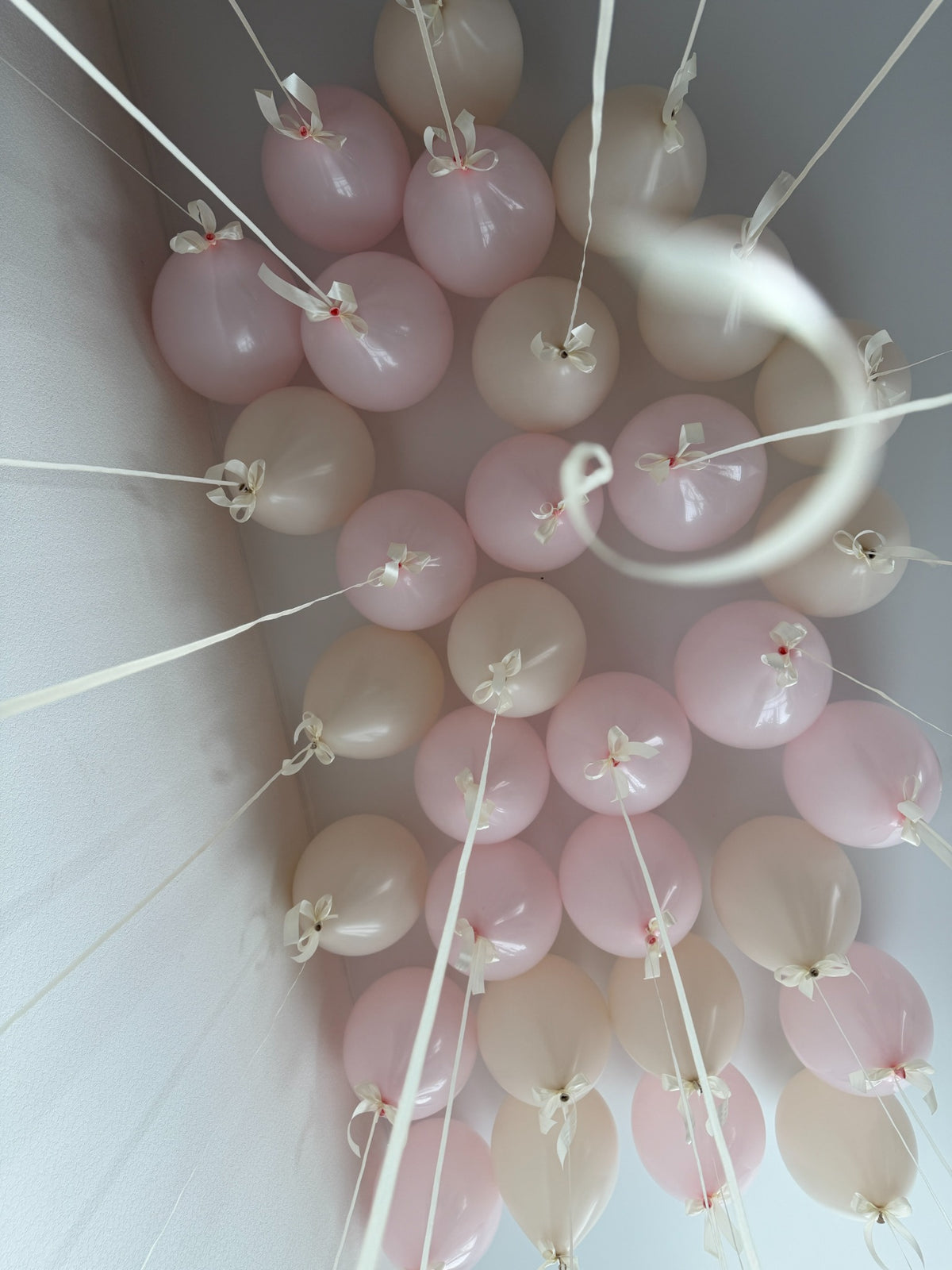 Cream and pastel pink helium balloons floating against the ceiling, each finished with a cream bow and a long ribbon.