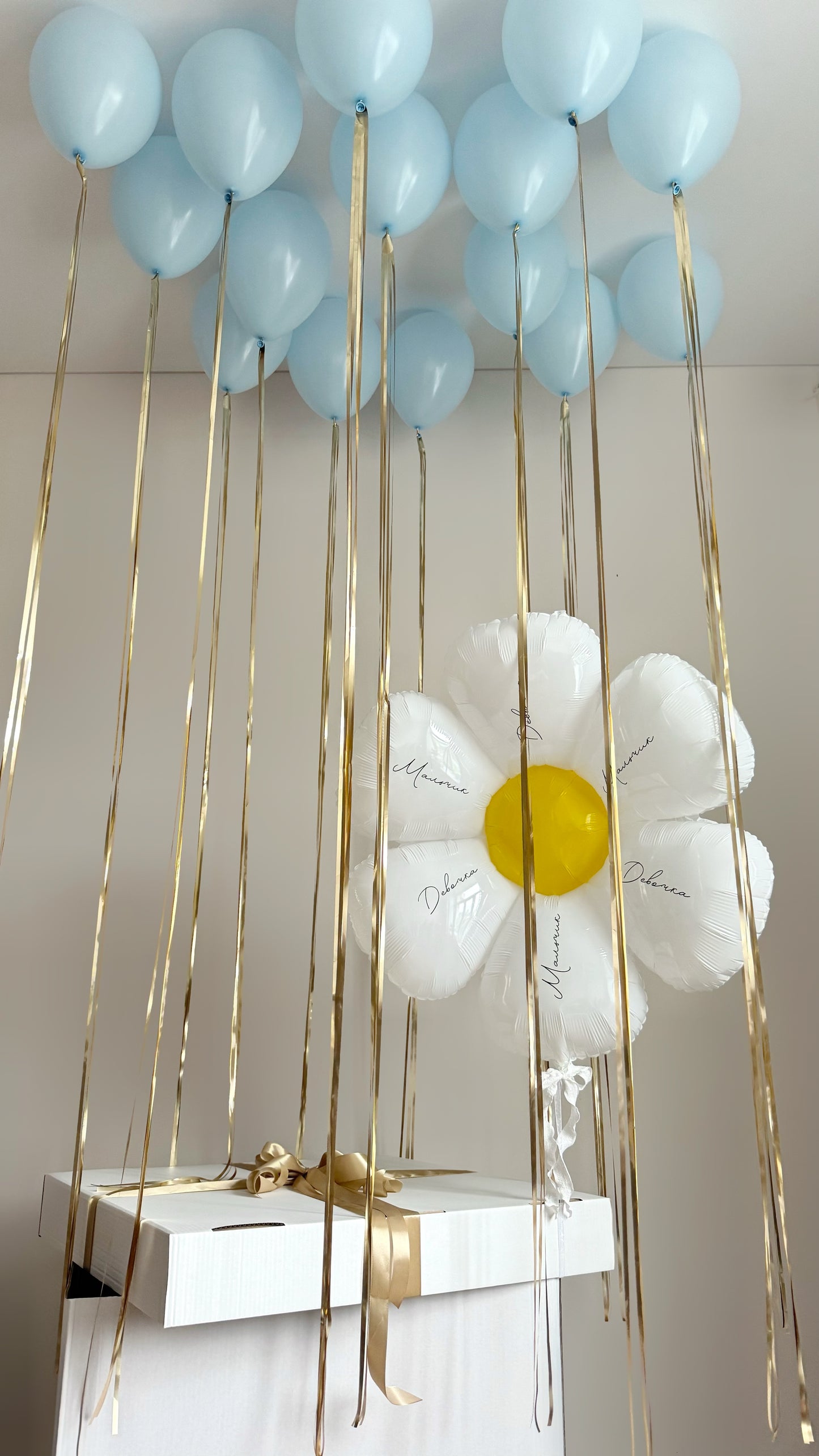 Gender reveal box with blue balloons and daisy balloon for baby celebration decor in New York