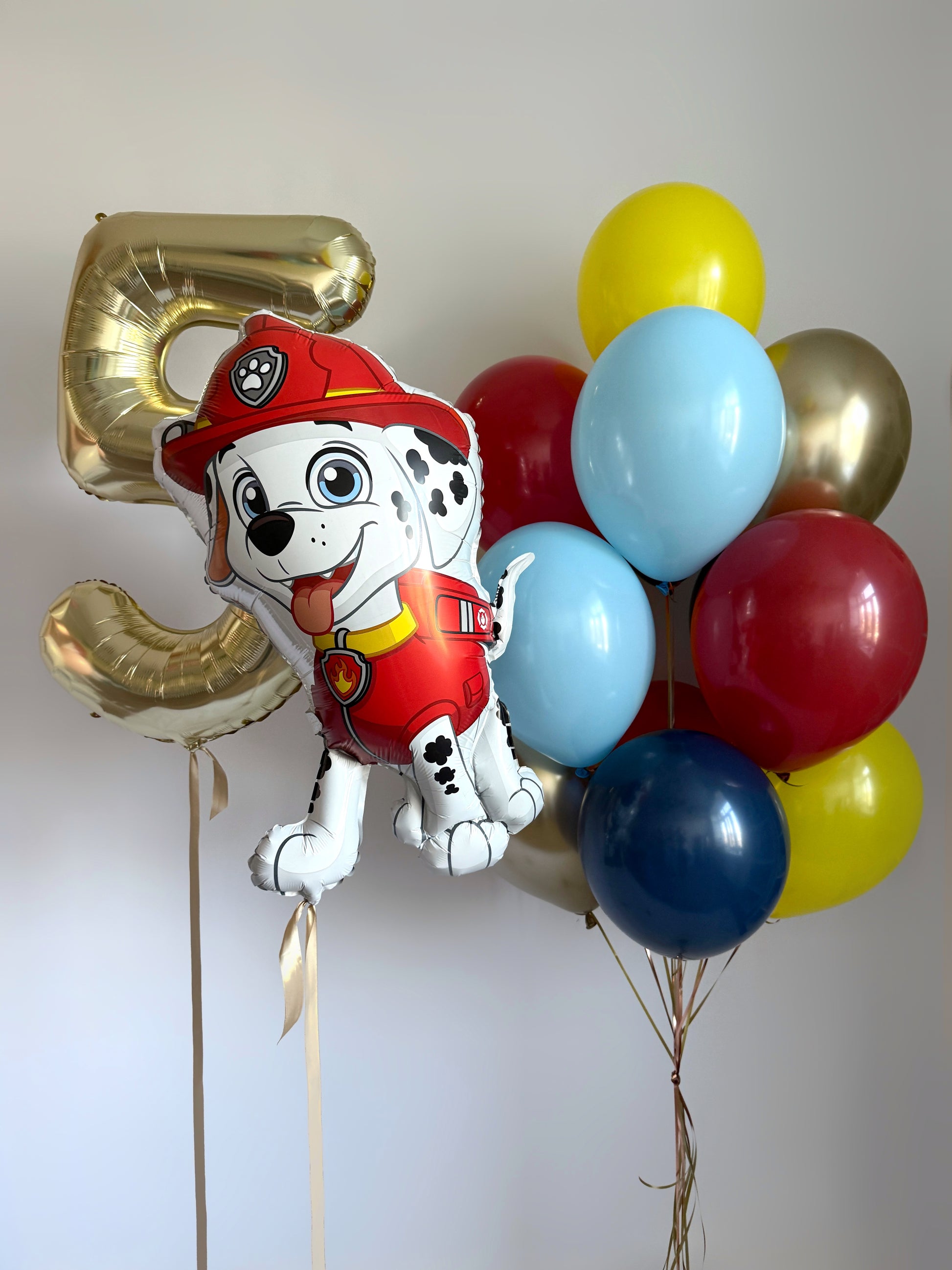Paw Patrol birthday balloon set with number balloon and colorful balloon cluster for kids party decor in New York